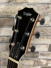 Taylor 2011年製　814ce  #1109234104 【無金利分割OK】【送料は当社負担】_5