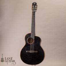 aNueNue aNN-LN77E