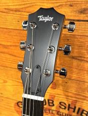 Taylor 【オール単板】414ce Studio Sunburst 【超お得モデル】【48回無金利】_4