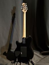 Starling AX40-TGO-M_6