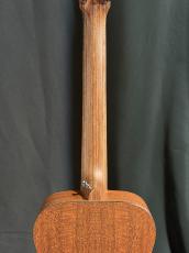 Martin LX1_7