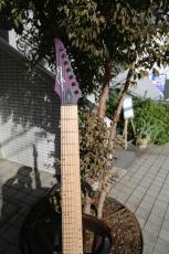 Legator NRA7-200 2018/WP_3