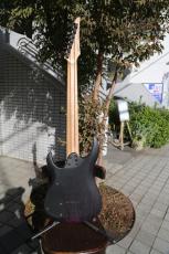 Legator NRA7-200 2018/WP_4