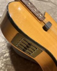 Carruthers Guitars 【USED】 A6 Ultra Cognac Burst 2013年製 [2.94kg]【G-CLUB TOKYO】 _7