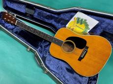 Martin D-35