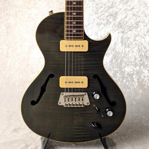 Epiphone Blueshawk Deluxe