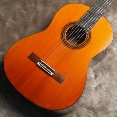 Daniel Friederich[ダニエル・フレドリッシュ] No.290