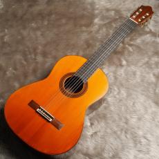 Daniel Friederich[ダニエル・フレドリッシュ] No.290_2