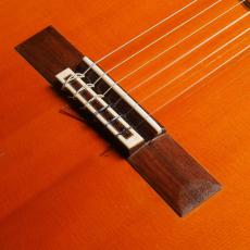 Daniel Friederich[ダニエル・フレドリッシュ] No.290_3