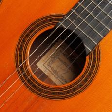 Daniel Friederich[ダニエル・フレドリッシュ] No.290_4