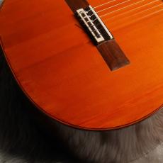 Daniel Friederich[ダニエル・フレドリッシュ] No.290_5