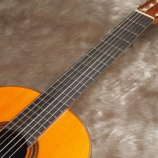 Daniel Friederich[ダニエル・フレドリッシュ] No.290_8