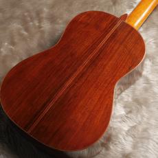 Daniel Friederich[ダニエル・フレドリッシュ] No.290_12