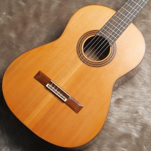 Daniel Friederich[ダニエル・フレドリッシュ] No.253