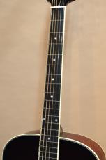 Stringphonic Lang Oval RSB_5
