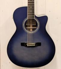 Morris R-14G SBU 【L.R.Baggs Element搭載】