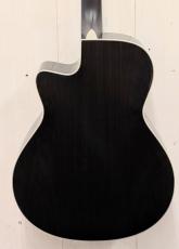 Morris R-14G SBU 【L.R.Baggs Element搭載】_3