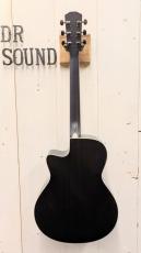 Morris R-14G SBU 【L.R.Baggs Element搭載】_4