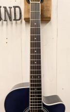 Morris R-14G SBU 【L.R.Baggs Element搭載】_6