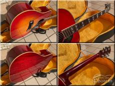 Morris WD-30 (DOVE TYPE)_6