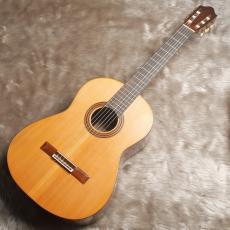 Daniel Friederich[ダニエル・フレドリッシュ] No.253_2