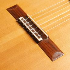 Daniel Friederich[ダニエル・フレドリッシュ] No.253_3