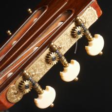 Daniel Friederich[ダニエル・フレドリッシュ] No.253_8