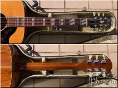 Pearl PF-300 (DOVE TYPE)_4