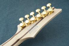 Ibanez  RGR621G  -White / WH- #I260803515【Limited Model】_11
