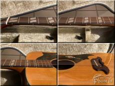 Pearl PF-300 (DOVE TYPE)_5