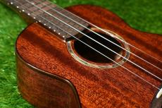 aNueNue AMM2 Concert_12