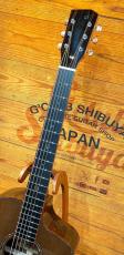 Dowina 【国内4本限定】GREEN EBONY-GAC【高樹齢シダー×グリーンエボニー】【濃密な中低音】_4