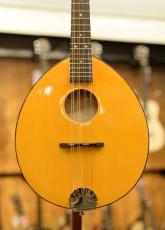 GOLD TONE GM-10 Frypan Mandolin_2
