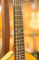 GOLD TONE GM-10 Frypan Mandolin_4