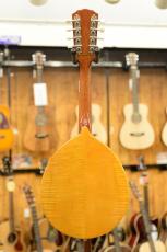 GOLD TONE GM-10 Frypan Mandolin_6