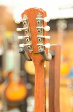 GOLD TONE GM-10 Frypan Mandolin_8