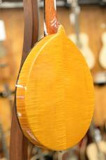 GOLD TONE GM-10 Frypan Mandolin_9
