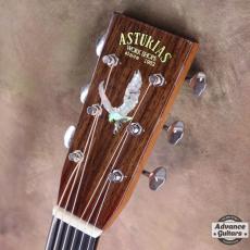 ASTURIAS 2014年製  Red Hawk_10