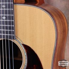 ASTURIAS 2014年製  Red Hawk_17