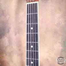 Taylor 25th Anniversary 1999年製 310-M_10