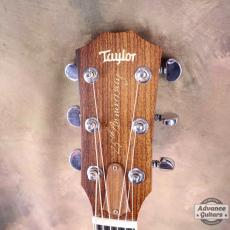 Taylor 25th Anniversary 1999年製 310-M_11