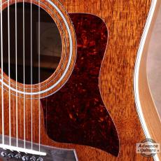 Taylor 25th Anniversary 1999年製 310-M_12