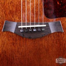 Taylor 25th Anniversary 1999年製 310-M_13