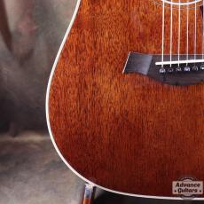 Taylor 25th Anniversary 1999年製 310-M_17