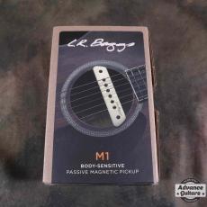 L.R.Baggs 【新品】L.R.Baggs M1 Passive