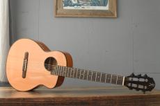 aNueNue Bird Guitar aNN-MN14E