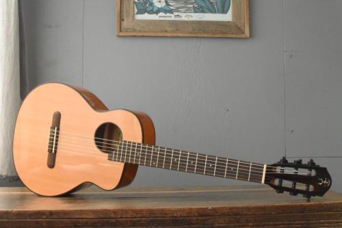 aNueNue Bird Guitar aNN-MN14E