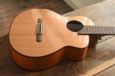 aNueNue Bird Guitar aNN-MN14E_2
