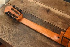 aNueNue Bird Guitar aNN-MN14E_4