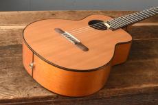 aNueNue Bird Guitar aNN-MN14E_6
